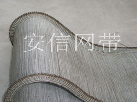 挡板型输送网带