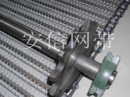 链条式输送网带