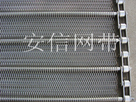 链条式输送网带