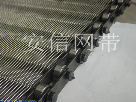 链条式输送网带