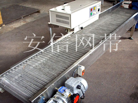 链条式输送网带